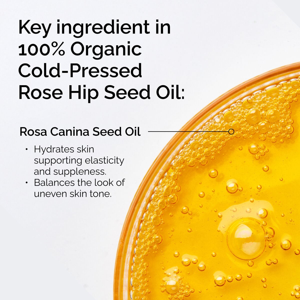 100-organic-cold-pressed-rose-hip-seed-oil-z0 FY25-D41247-ORD-Web-PDP-100-Rose-Hip-Oil-1x1-EN-2.jpg