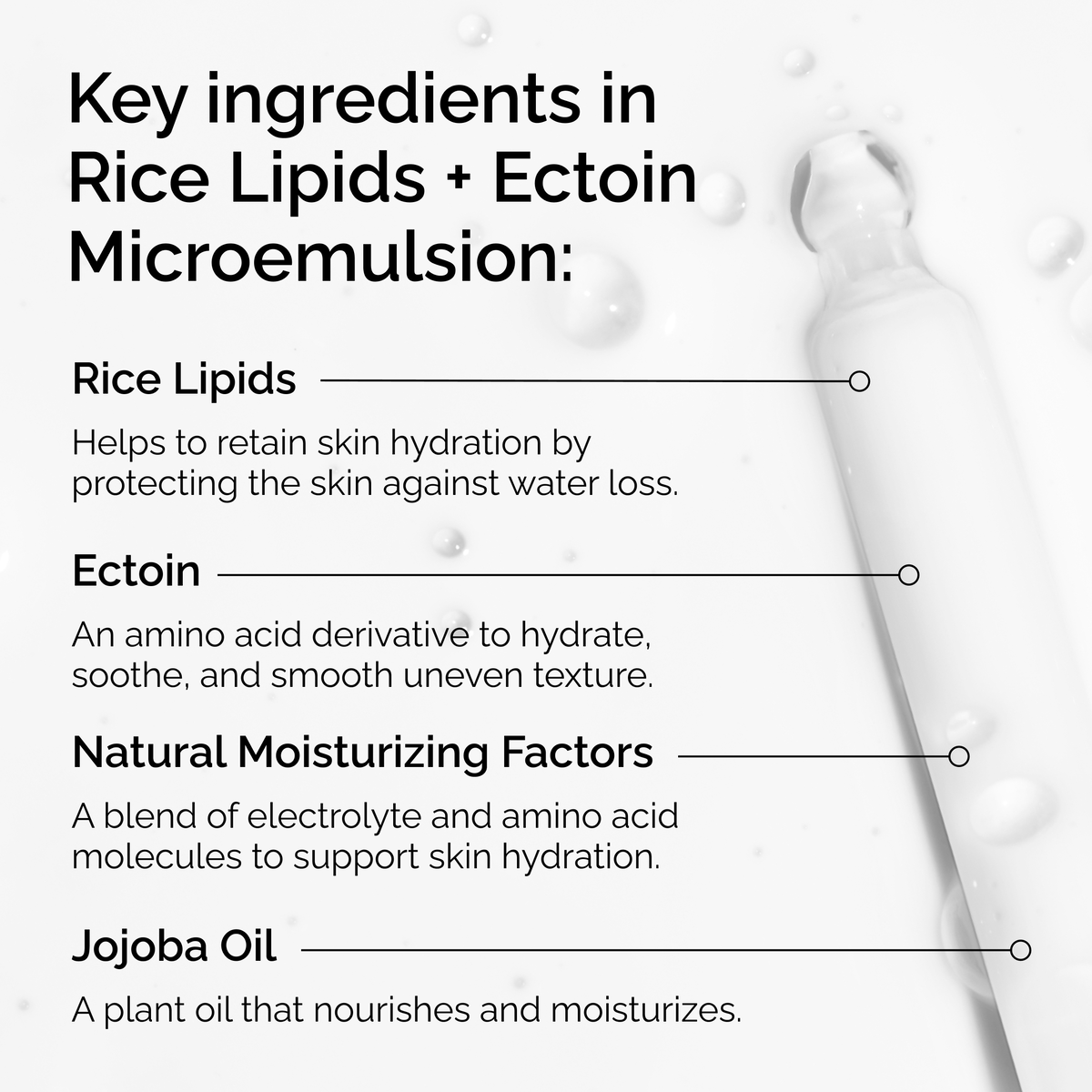 rice-lipids-ectoin-microemulsion-p8 ord-rice-lipids-ectoin-microemulsion-key-ingredients.png