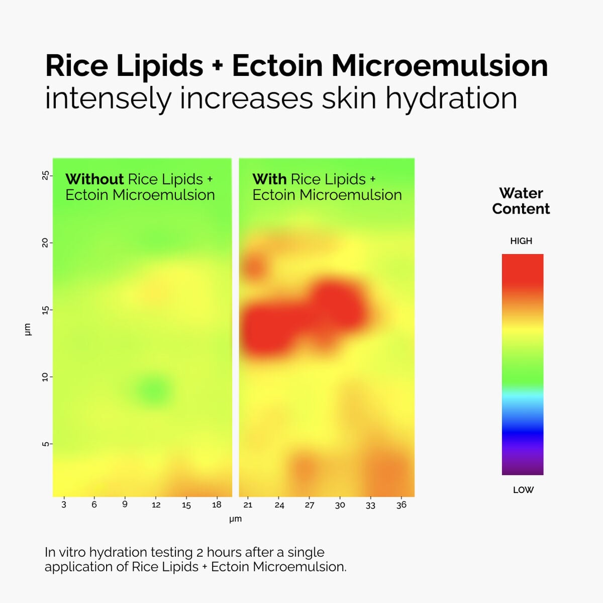 rice-lipids-ectoin-microemulsion-p8 ord-rice-lipids-ectoin-microemulsion-thermal-before-after.jpg